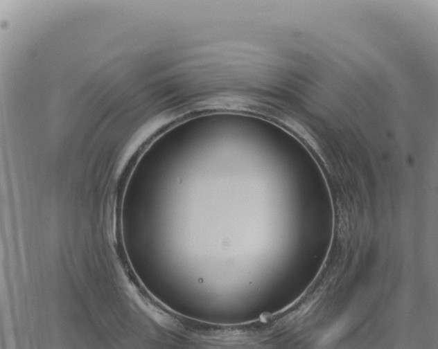 X0000063481131200601271648