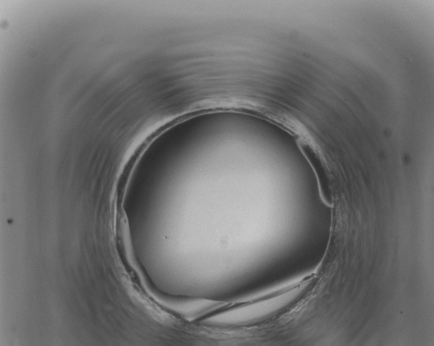 X0000063481132200601271648