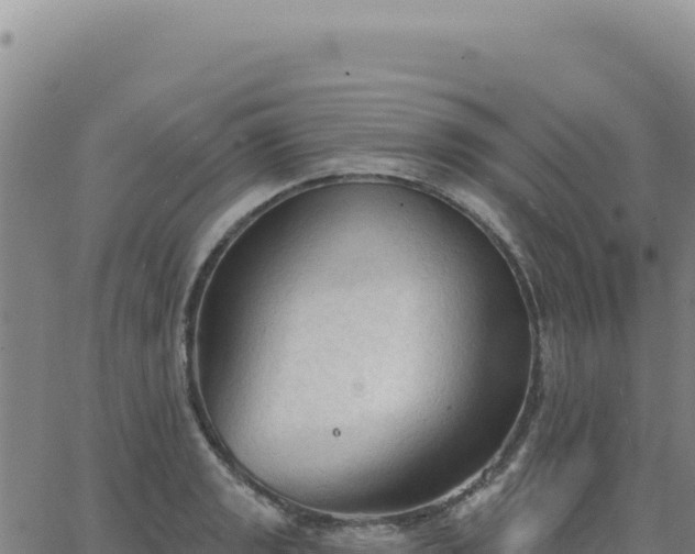 X0000063481133200601271648