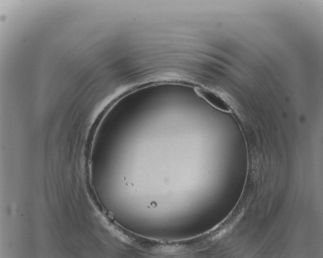 X0000063481134200601271648