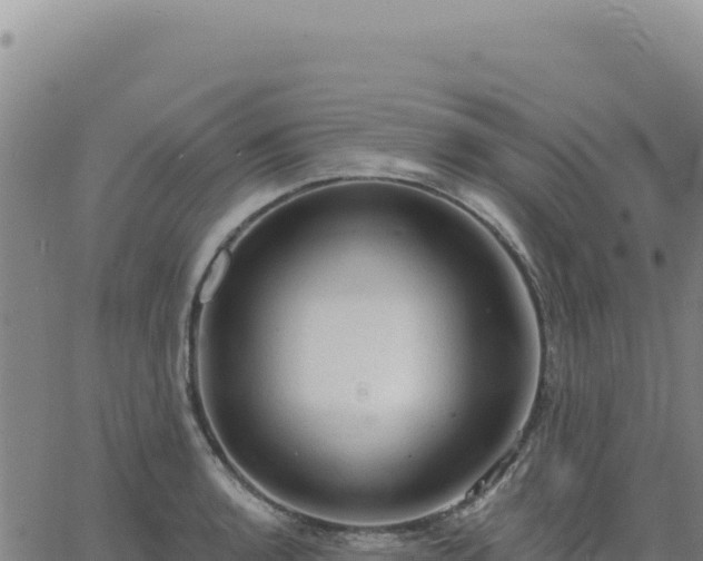 X0000063481136200601271648