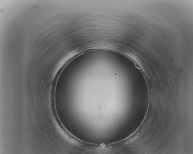 X0000063481139200601271648