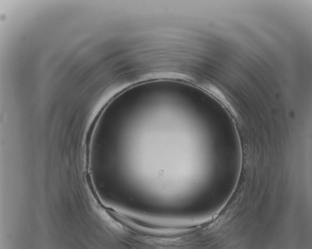 X0000063481140200601271648