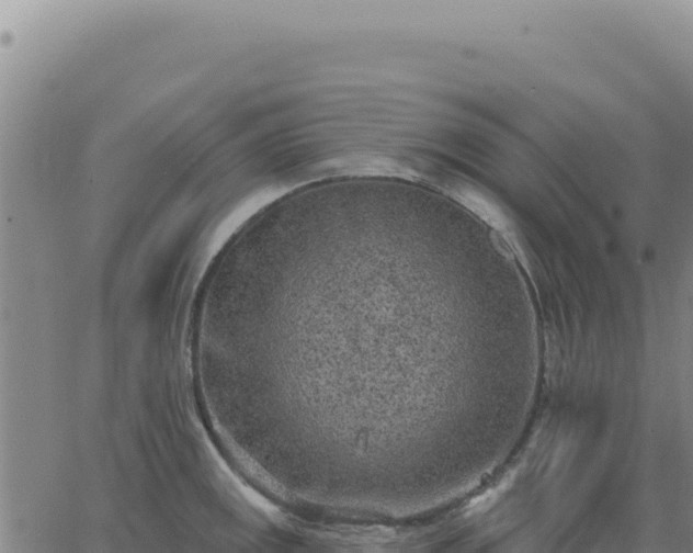 X0000063481141200601271648