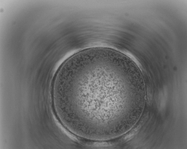 X0000063481142200601271648