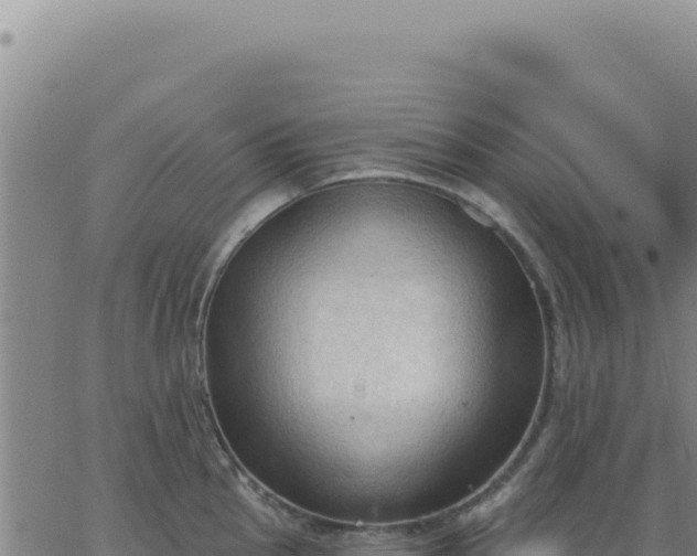 X0000063481145200601271648