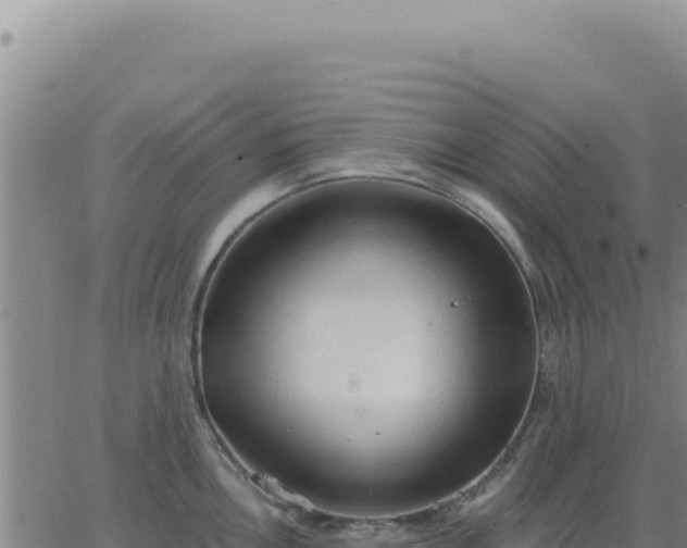 X0000063481146200601271648