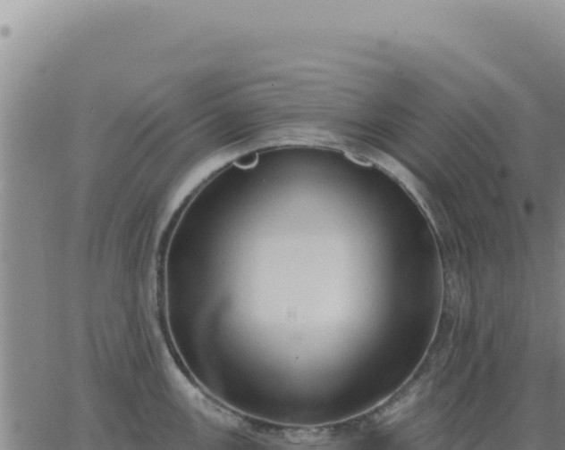 X0000063481147200601271648