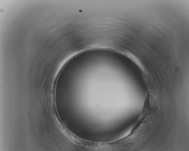 X0000063481148200601271648