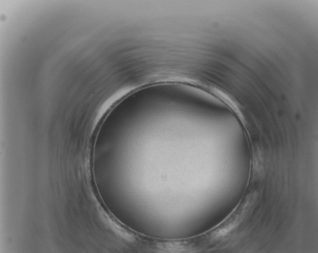 X0000063481149200601271648