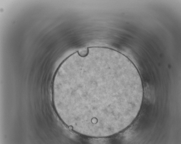 X0000063481150200601271648