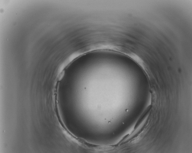 X0000063481151200601271648