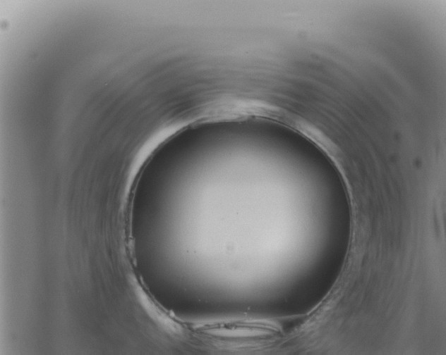 X0000063481152200601271648