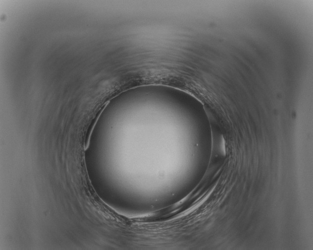 X0000063481153200601271647