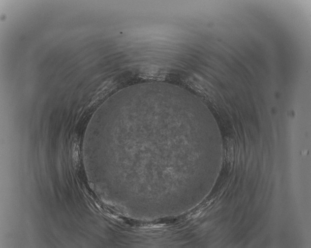 X0000063481154200601271647