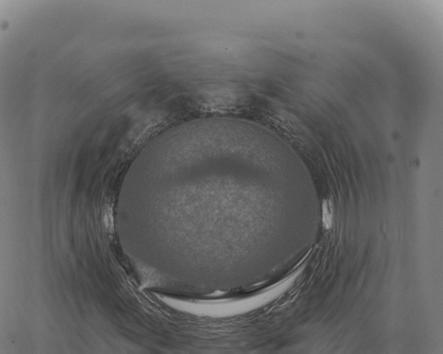 X0000063481155200601271647