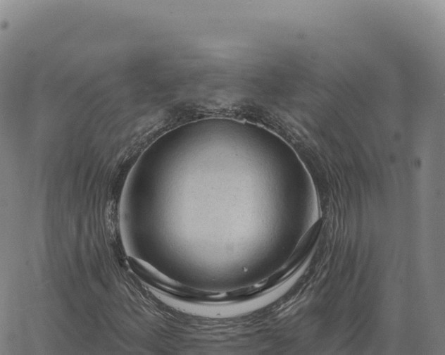 X0000063481156200601271647