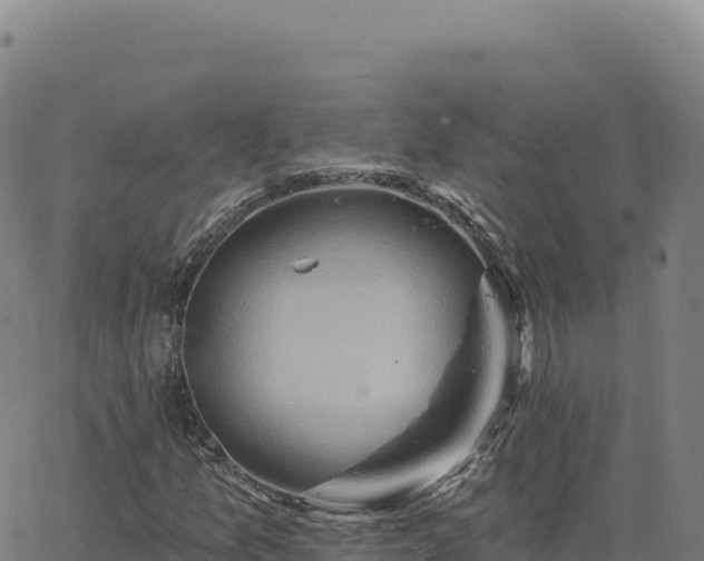 X0000063481157200601271647