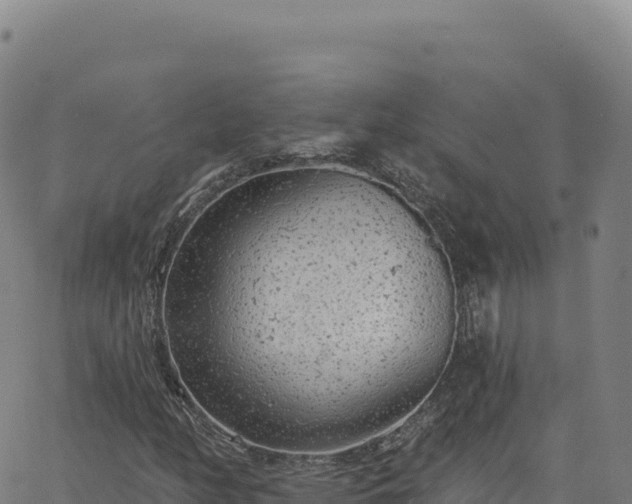 X0000063481158200601271647