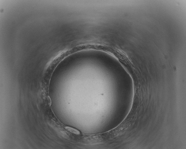 X0000063481159200601271647