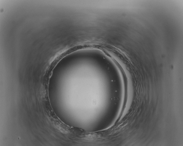 X0000063481160200601271647