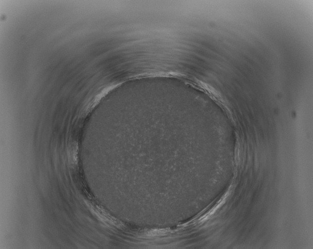 X0000063481161200601271647