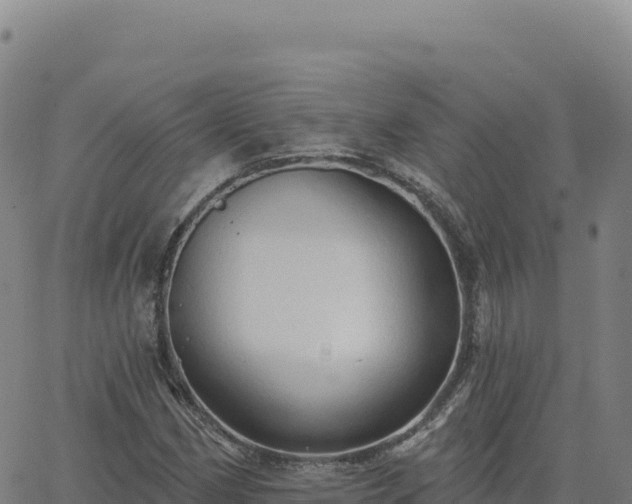 X0000063481162200601271647