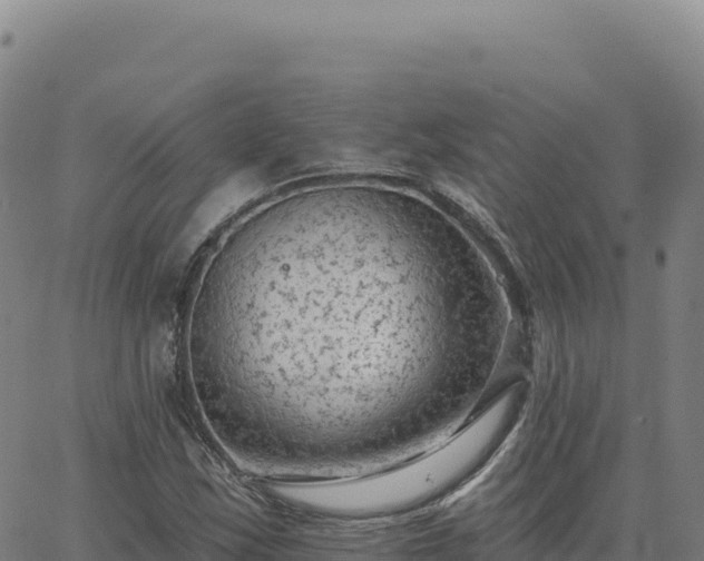 X0000063481163200601271647