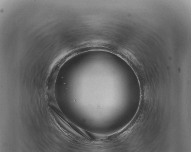 X0000063481164200601271647