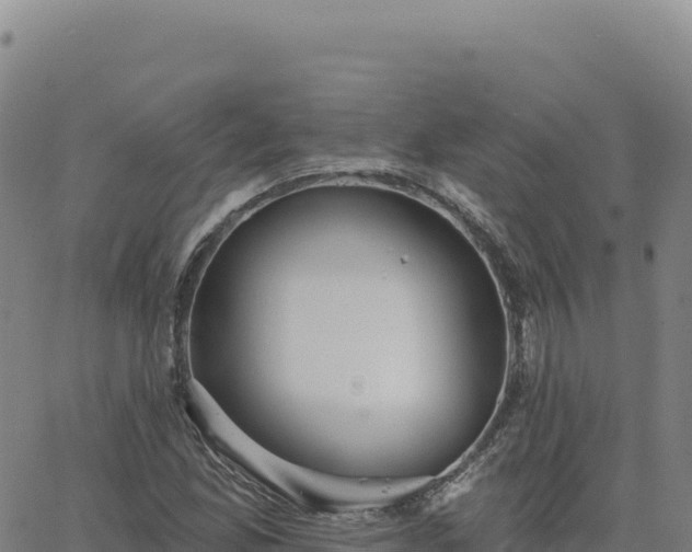 X0000063481165200601271647