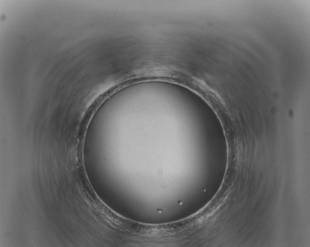 X0000063481166200601271647