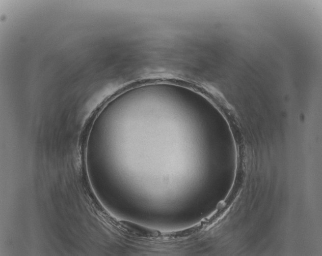 X0000063481167200601271647