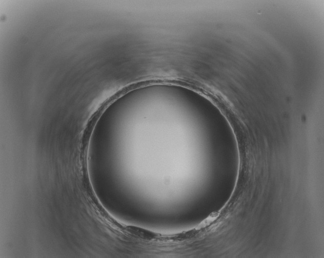 X0000063481168200601271647