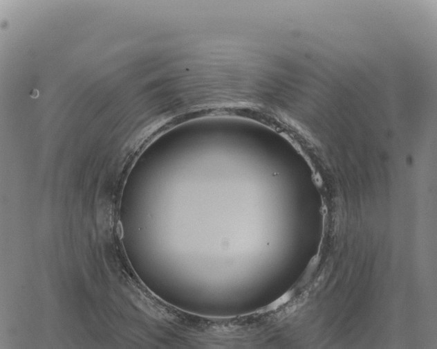 X0000063481169200601271647