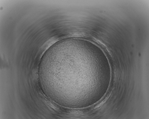 X0000063481170200601271647