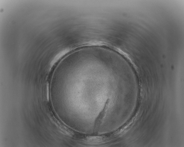 X0000063481171200601271647