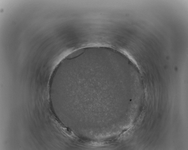 X0000063481173200601271647