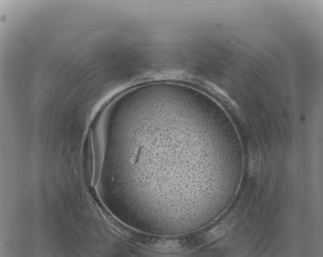 X0000063481174200601271647