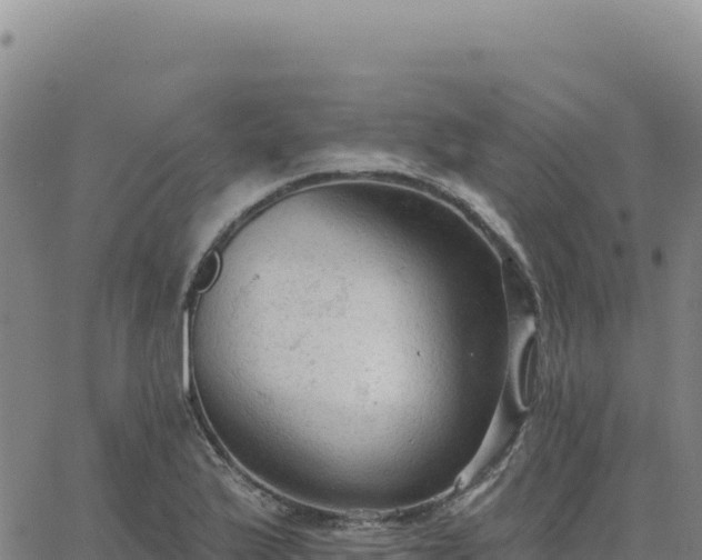 X0000063481175200601271647