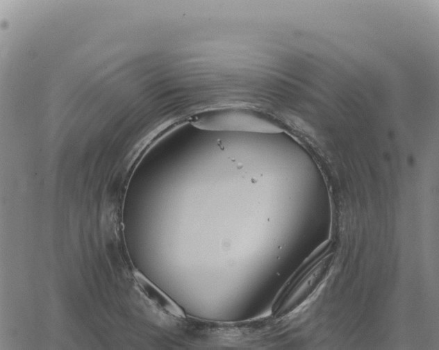 X0000063481177200601271647