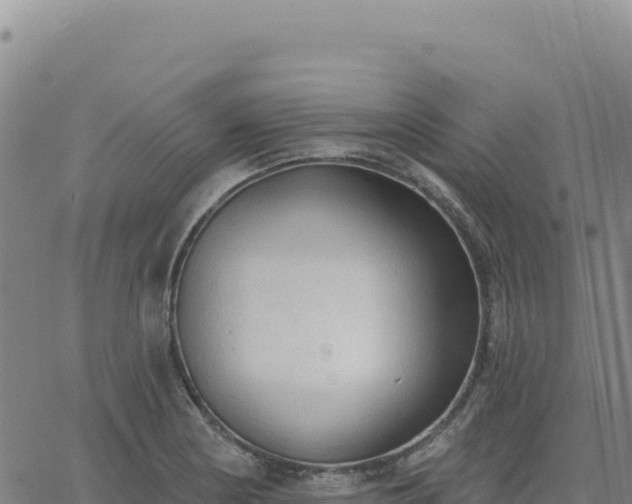 X0000063481178200601271647