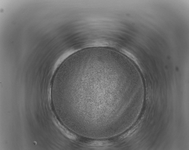 X0000063481179200601271647