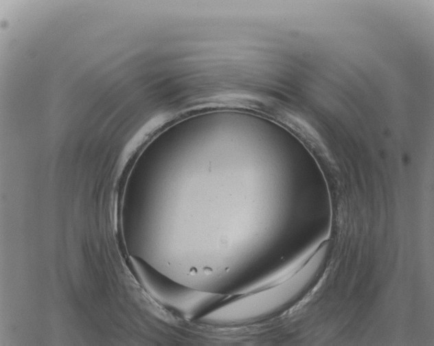 X0000063481180200601271647