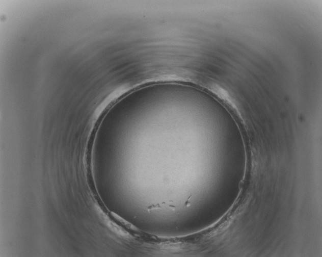 X0000063481181200601271647