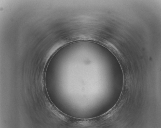 X0000063481182200601271647