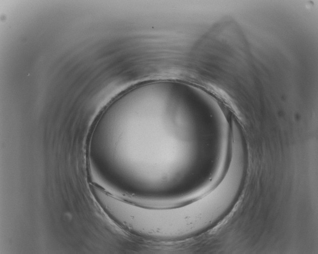 X0000063481184200601271647