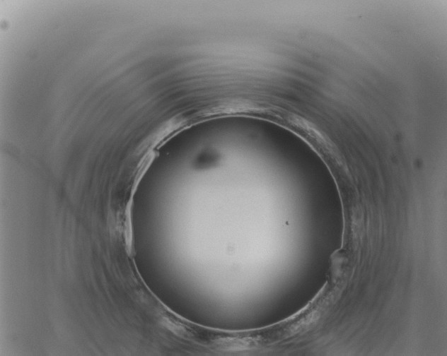 X0000063481185200601271647