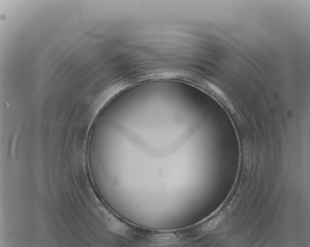 X0000063481186200601271647