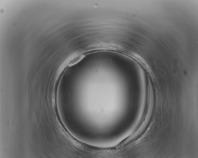 X0000063481188200601271647