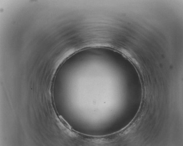 X0000063481189200601271647